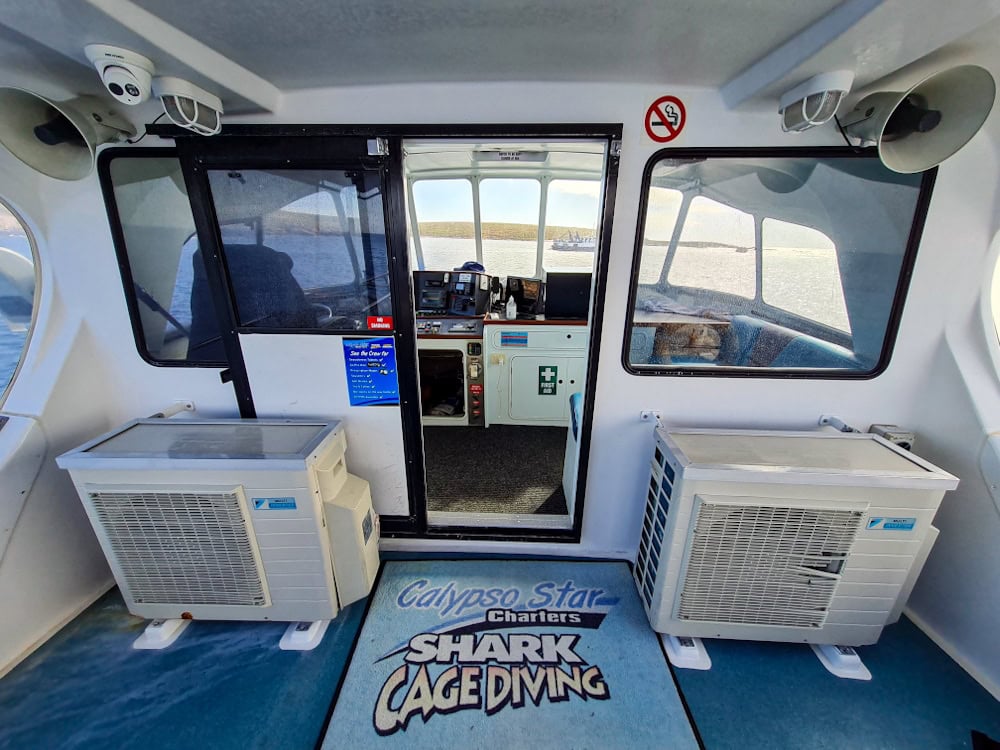 Calypso Star charters cage diving boat
