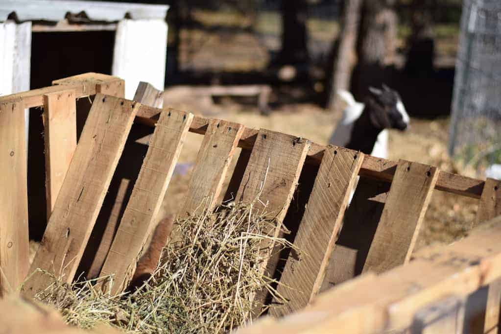 How To Build A Simple Goat Feeder Boots Hooves Homestead
