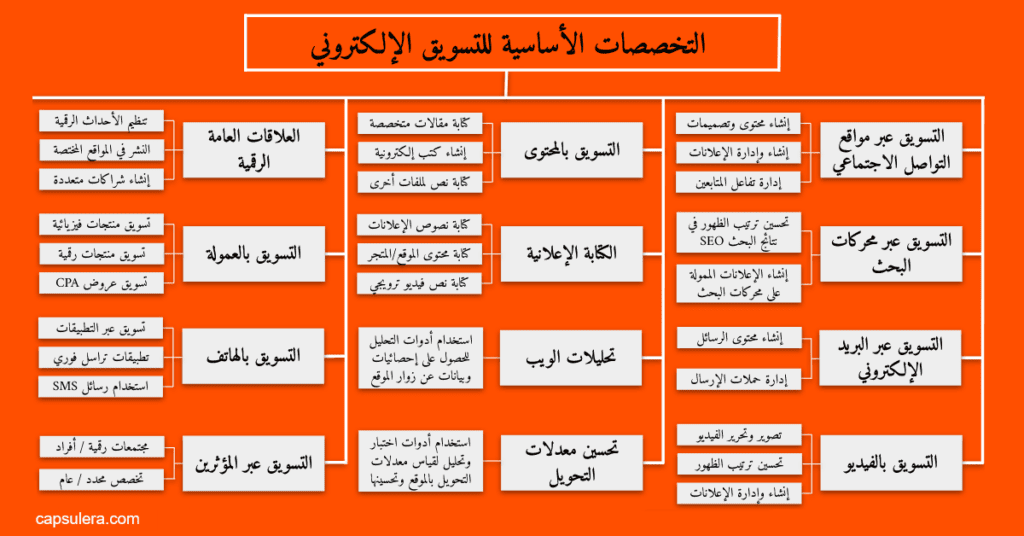 دليل المبتدئين للتعرف على تخصصات التسويق الإلكتروني كابسوليرا