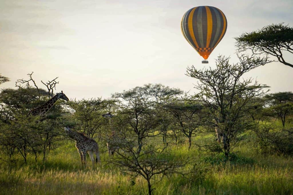 Hot air balloon serengeti safari bush camp