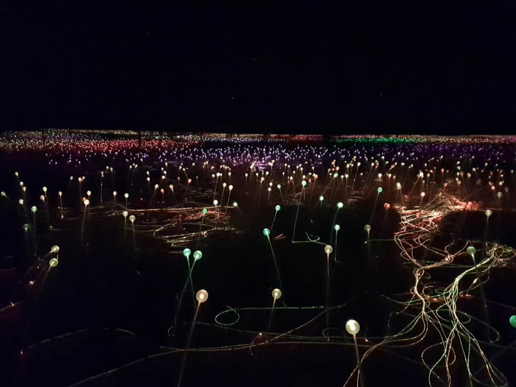Field of flower like light stems in Outback Australia