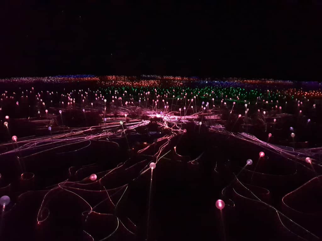 Field of flower like light stems in Outback Australia