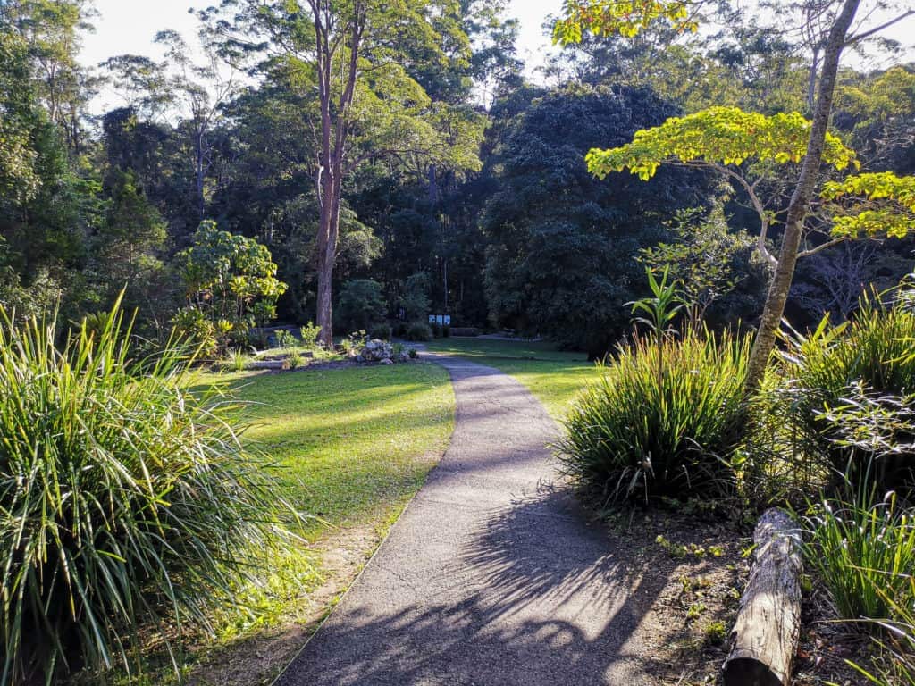 Picnic area Kondalilla Falls National Park