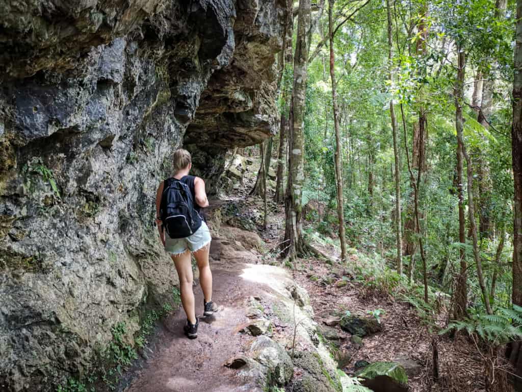 Twin Falls Springbrook Queensland
