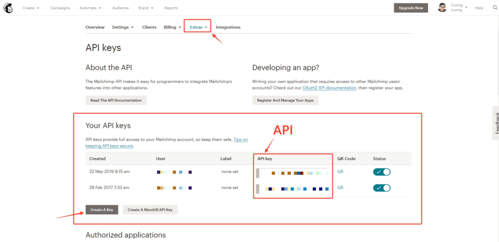 Cach Tim Api Tren Mailchimp