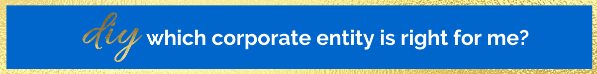 Which Corporate Entity is Right for Me DIY banner
