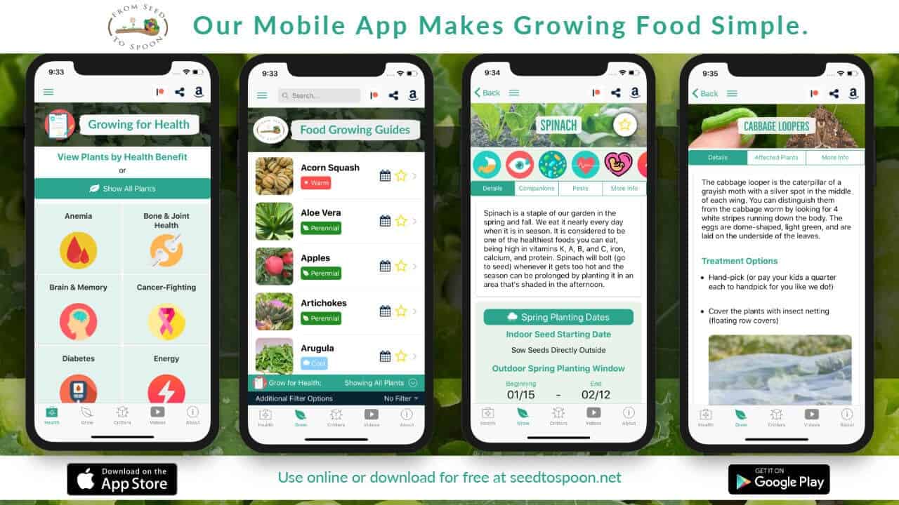 Introducing The Free From Seed To Spoon Garden Planning Growing