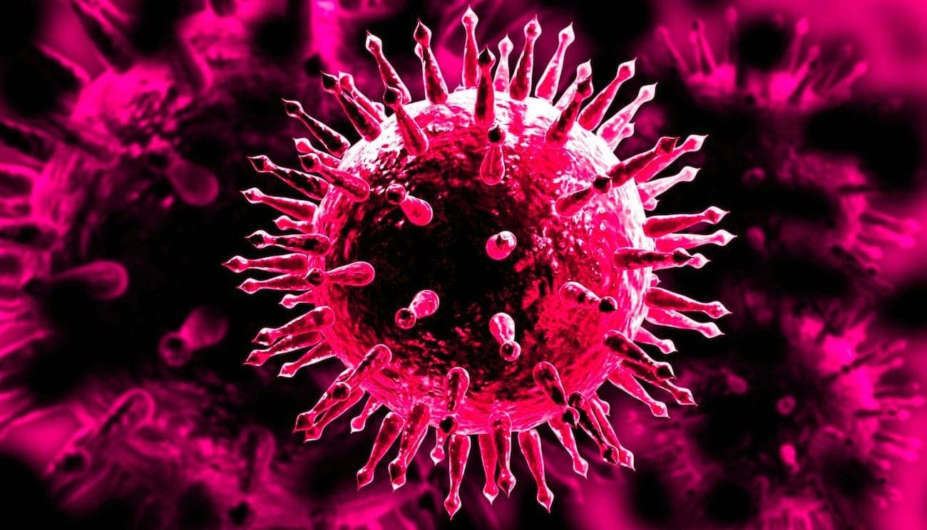 [Image: virus-grippe.jpg]
