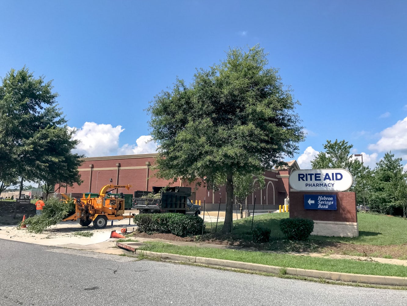 Gallery Delmarva Arborists
