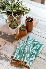 wouf wild cactus notebooks wouf wild cactus notebooks