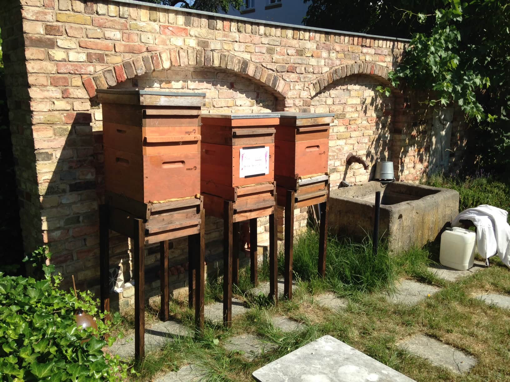 Unsere Bienen am Filmset