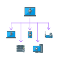 Bots and Botnets - Network Vulnerabilities