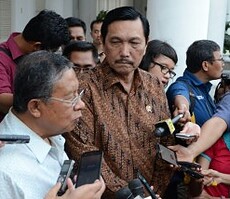 Darmin dan Luhut