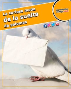 La-curiosa-moda-de-la-suelta-de-palomas