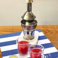 Watermelon and Lime Summer Mocktail