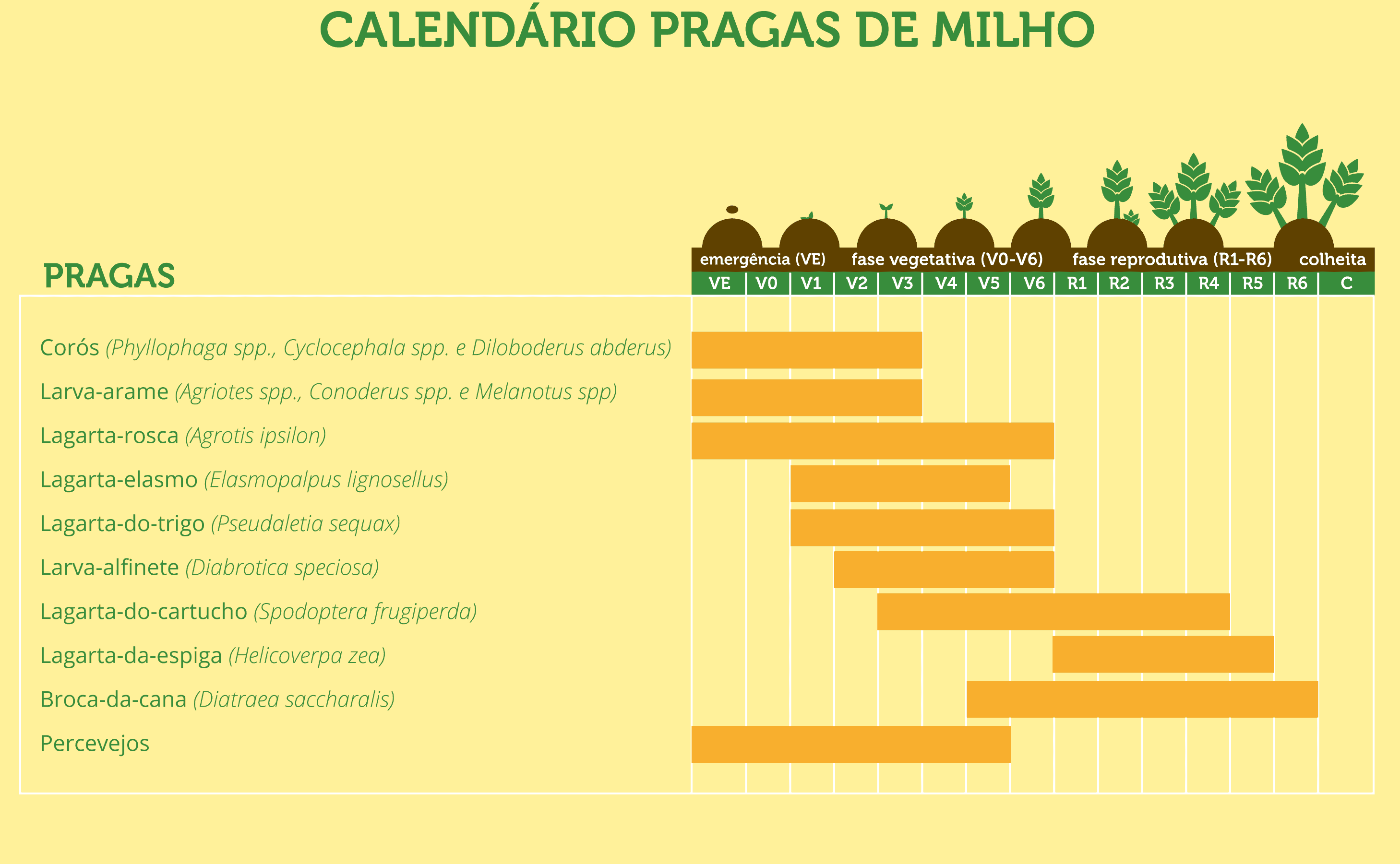 2- como-acabar-com-as-lagartas