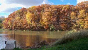 BEST PEORIA CAMPING FOR YOUR NEXT WEEKEND GETAWAY | TOP 3 CAMPGROUNDS IN PEORIA COUNTY 4_2021 campwokonda