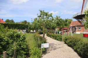 Die Pfannkuchenmühle de Graanhalm - Burgh Haamstede Die Pfannkuchenmühle de Graanhalm