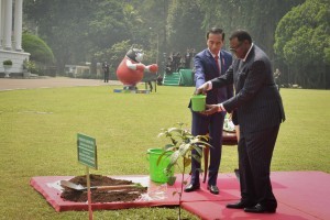 President Jokowi and President Namibia plant ironwood at the Bogor Palace, Thursday (30/8). Photo by: Oji/Public Relations Division of Cabinet Secretariat).