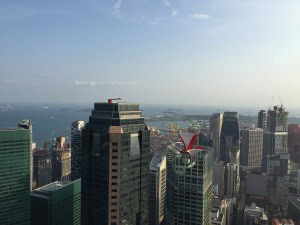 Santosa Beach und die 1-Altitude Rooftop Bar IPhone Backup 331