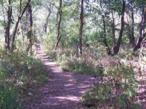 CAMPING NEAR SPRINGFIELD | 4 BEST SANGAMON COUNTY CAMPING SCENES 4_2021 Riverside