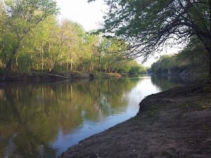 CAMPING NEAR SPRINGFIELD | 4 BEST SANGAMON COUNTY CAMPING SCENES 3_2021 wheeland park