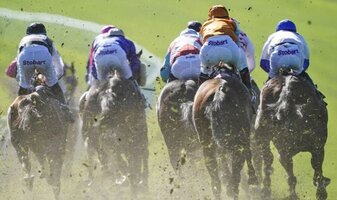 Singapore Horse Racing Free Bet If 2nd Offers