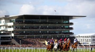 Top 5 Betting Moments From Cheltenham Festival