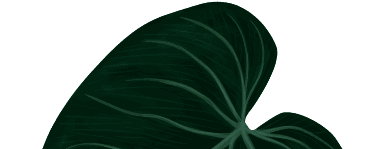 leaf-top leaf-top