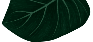 leaf-bottom leaf-bottom