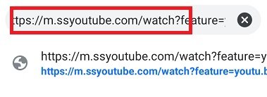 Add SS and download youtube video