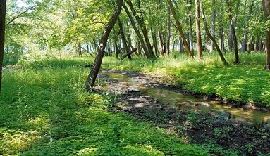 PEORIA CAMPING | 5 BEST TAZEWELL COUNTY CAMPSITES 3_2021 Millpoint