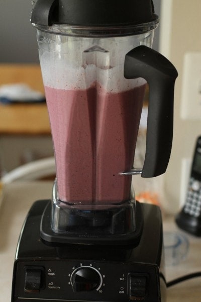 I Bought A Vitamix Here S What I Think Of It The Frugal Girl