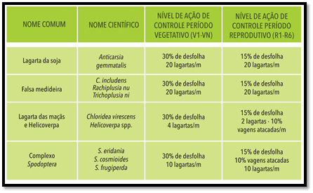 3-inseticidas-nc