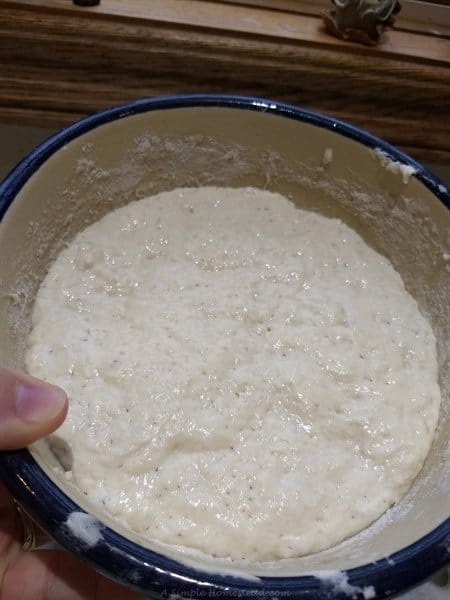 wet sourdough starter