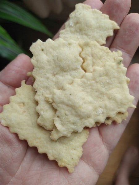 Sourdough crackers