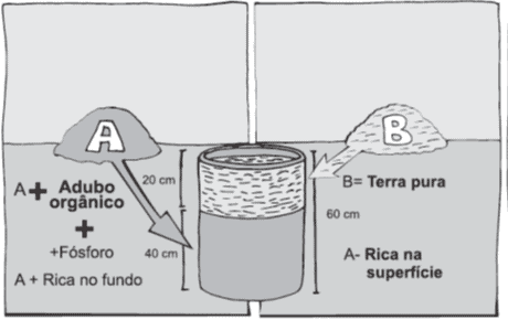 citros e citrus