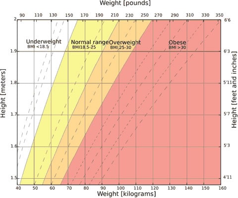 how much should i weigh