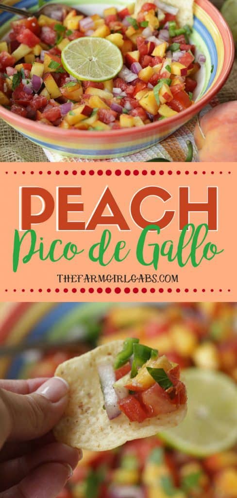 Spice up your summer with this tasty Peach Pico de Gallo recipe. Grab those fresh farmers market peaches and whip up a bowl to snack on. #Peach #PicodeGallo #Salsa #PeachRecipe #Appetizer #Dips #DipRecipe #Farmersmarket
