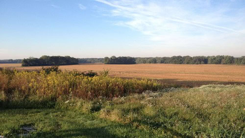7 BEST PLACES FOR CAMPING IN WILL COUNTY 2_2021 ForkedCreek2