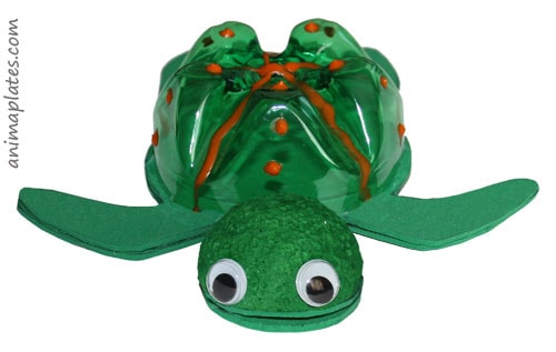 What Turtles Can Teach Us Article Animaplates