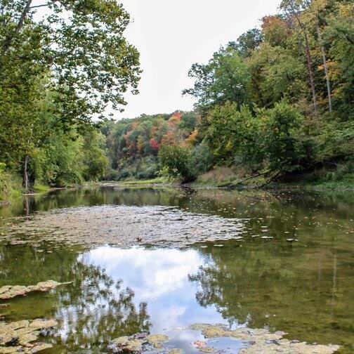VERMILION COUNTY CAMPING | 3 CAMPGROUNDS NEAR DANVILLE THAT EVERYONE LOVE 3_2021 MiddleFork