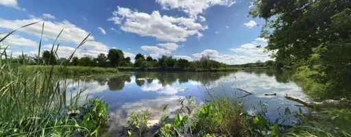 7 BEST PLACES FOR CAMPING IN WILL COUNTY 5_2021 Hammel1