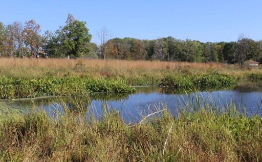7 BEST PLACES FOR CAMPING IN WILL COUNTY 3_2021 MessengerWoods1