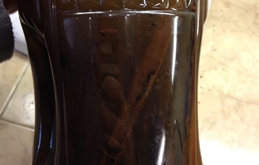 vanilla-beans-in-vodka