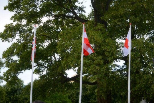 Es gibt national erhebliche Unterschiede in der Vereinsorganisation