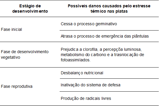 Possíveis danos causados pelo estresse térmico nas plantas nos estágios de desenvolvimento