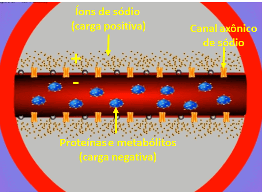 inseticida piretroide