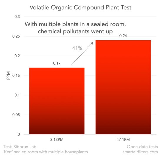Plant Purifier Formaldehyde Pollution Test