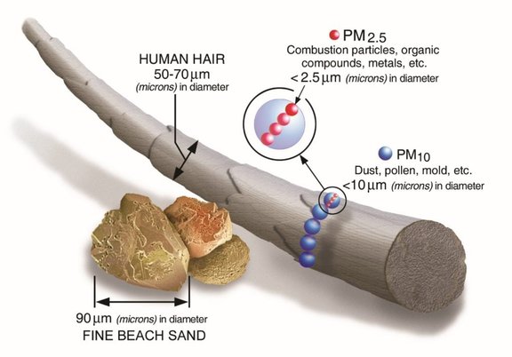 PM2.5 in hearts